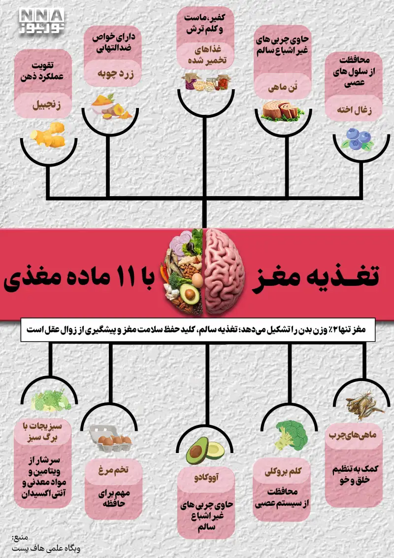 نوراینفو | تغذیه مغز با 11 ماده غذایی