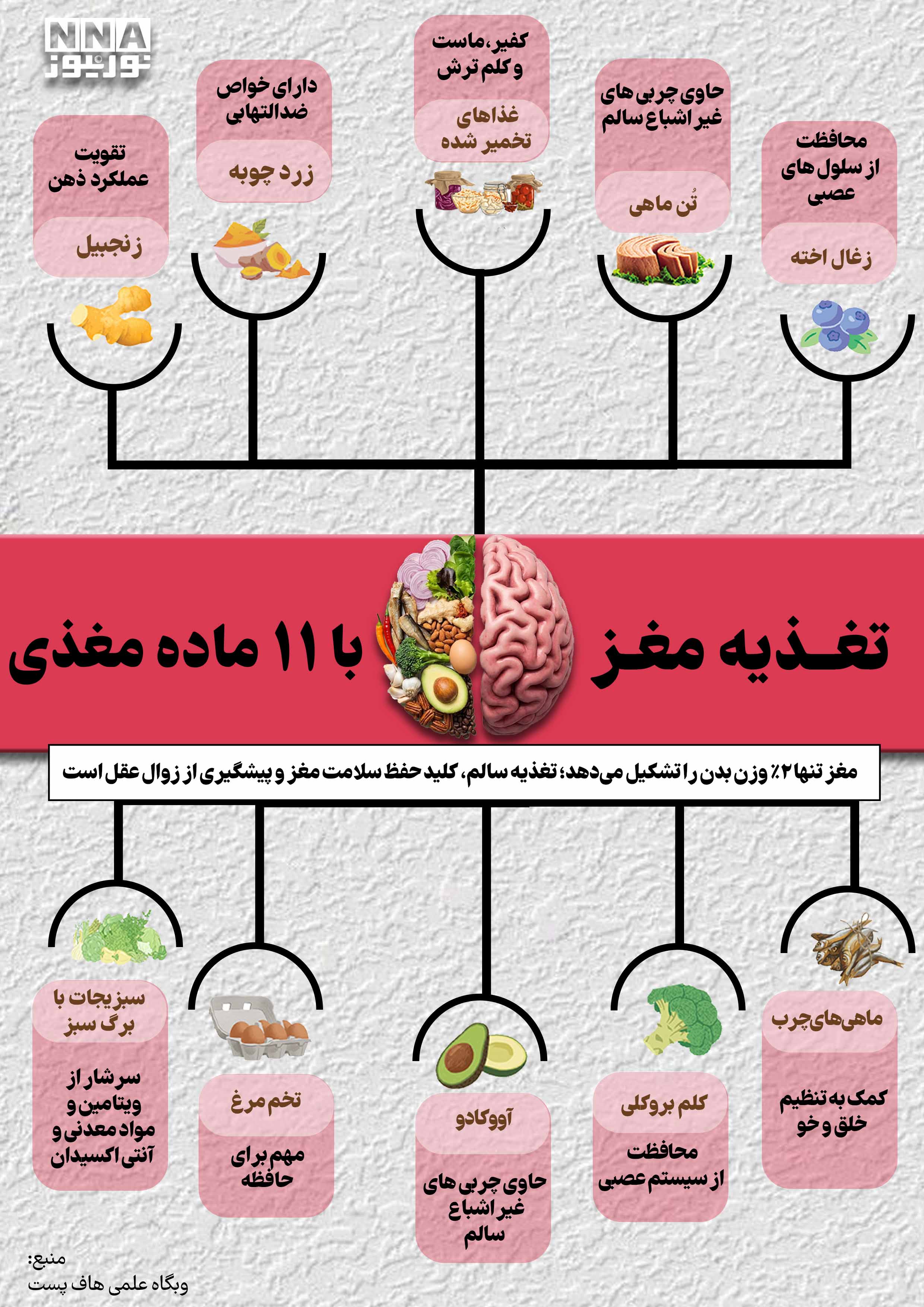نوراینفو | تغذیه مغز با 11 ماده غذایی