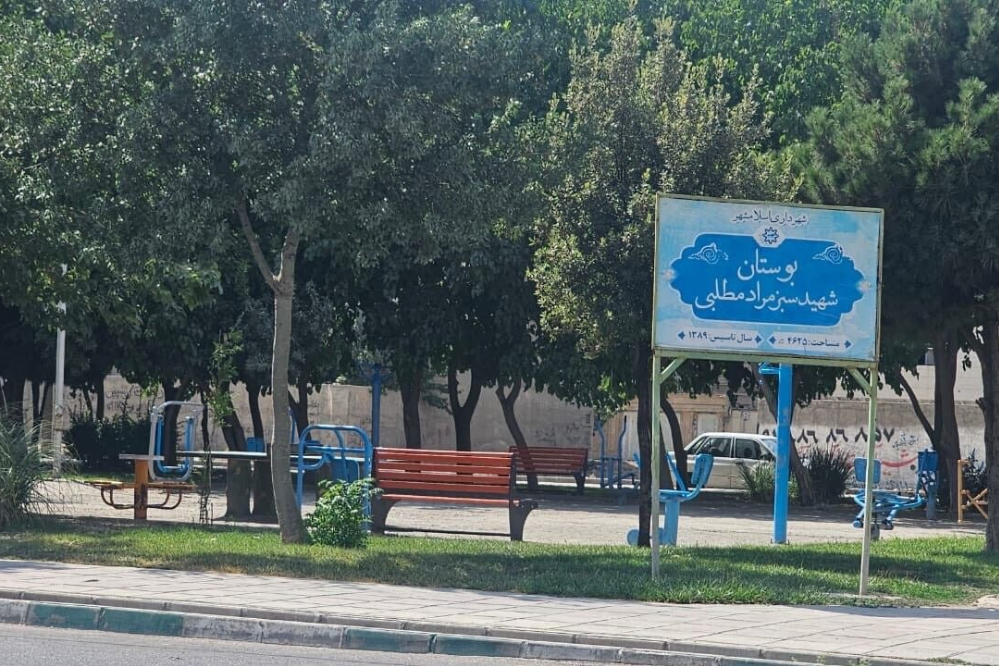 مرگ تلخ دلسای هفت ساله در پارک اسلامشهر، علت چیست؟