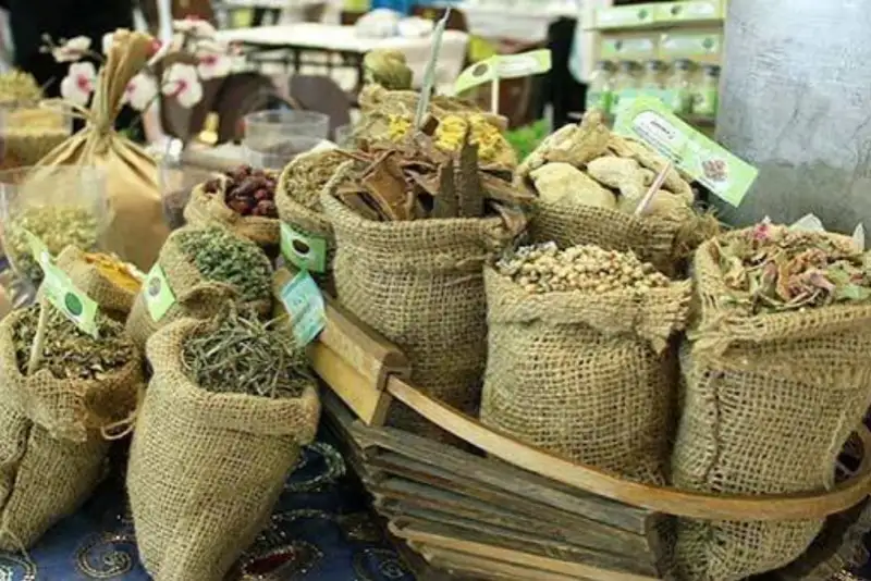 آغاز نخستین جشنواره گیاهان دارویی حکیم هزاره‌ها در همدان
