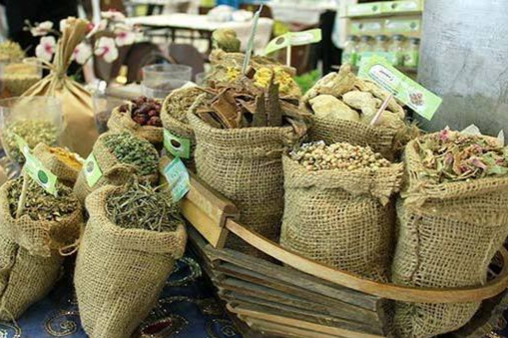 آغاز نخستین جشنواره گیاهان دارویی حکیم هزاره‌ها در همدان