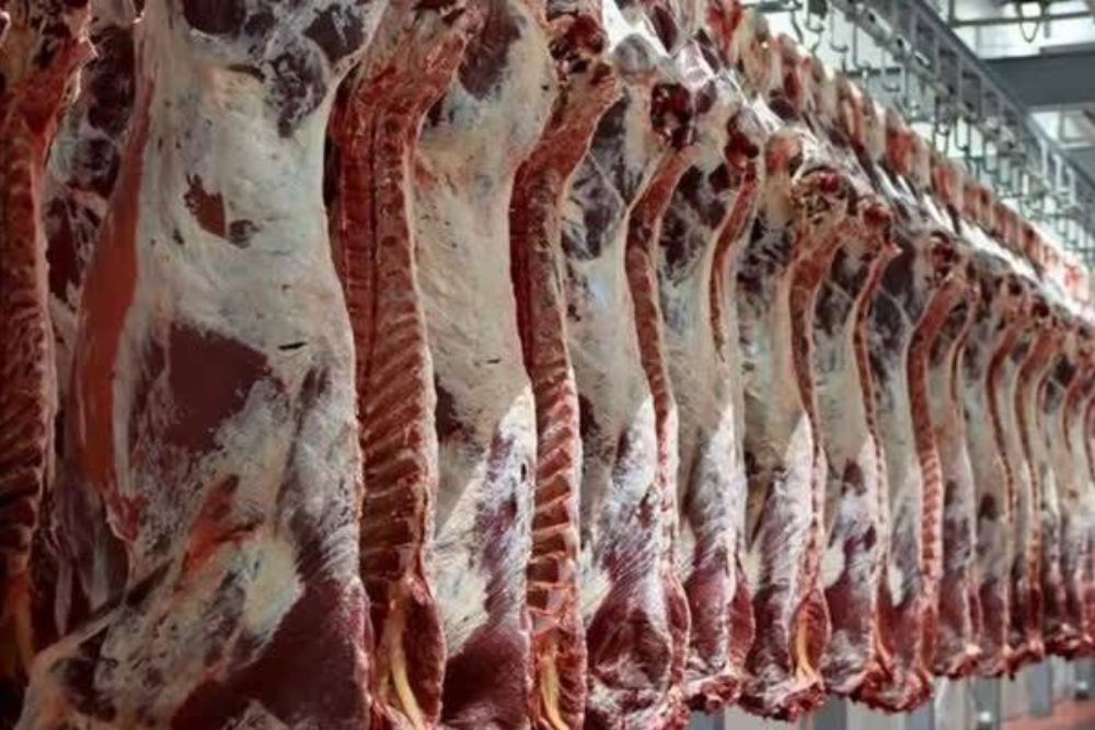 قیمت گوشت امروز 15 مرداد 1405+ جدول قیمت ها