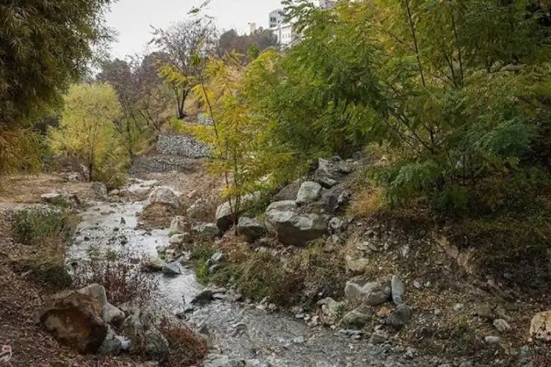 اتصال دو تفرجگاه تهران؛ بوستان نهج‌البلاغه به اکوپارک می‌رسد