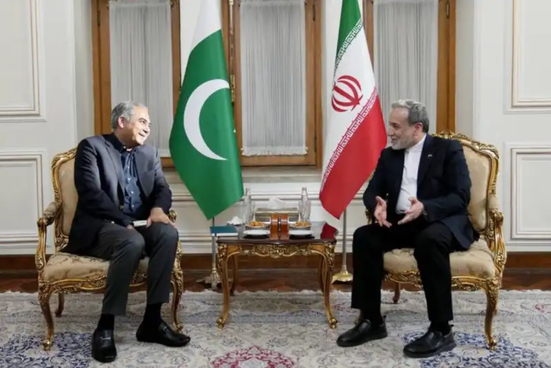 وزیر کشور پاکستان با عراقچی دیدار کرد