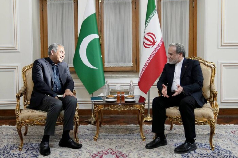 وزیر کشور پاکستان با عراقچی دیدار کرد