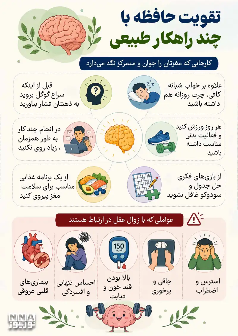 نوراینفو | 6 راهکار طبیعی برای تقویت حافظه و جوان نگه داشتن مغز