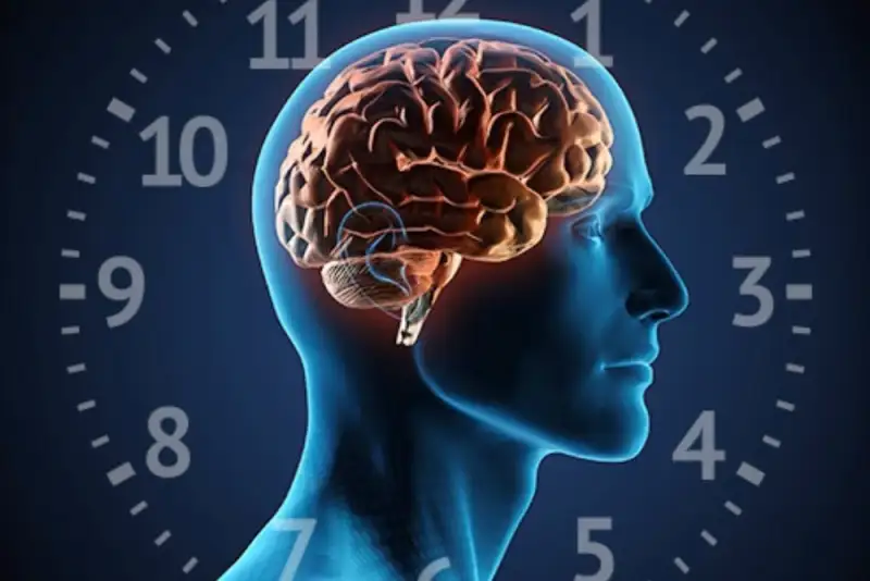 برنامه منظم زندگی چه تأثیری بر افراد مبتلا به بی‌خوابی دارد؟