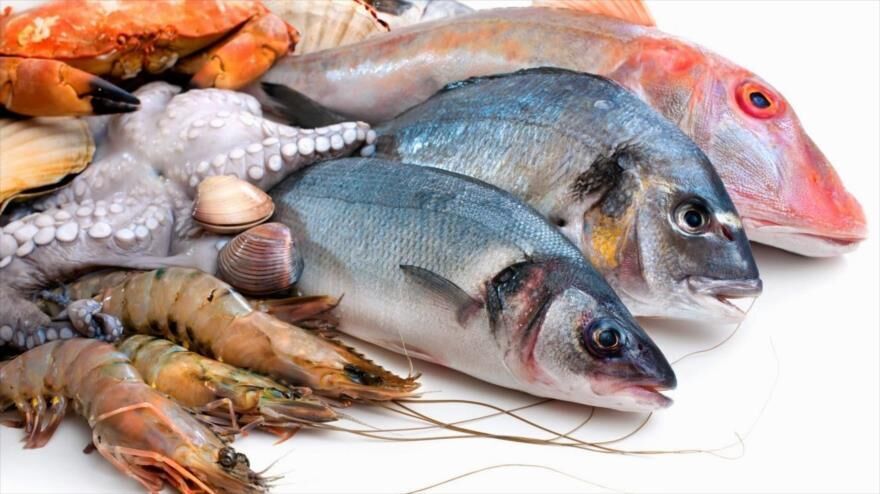 Official: 6,500 tons of aquatic products exported from Bushehr Province