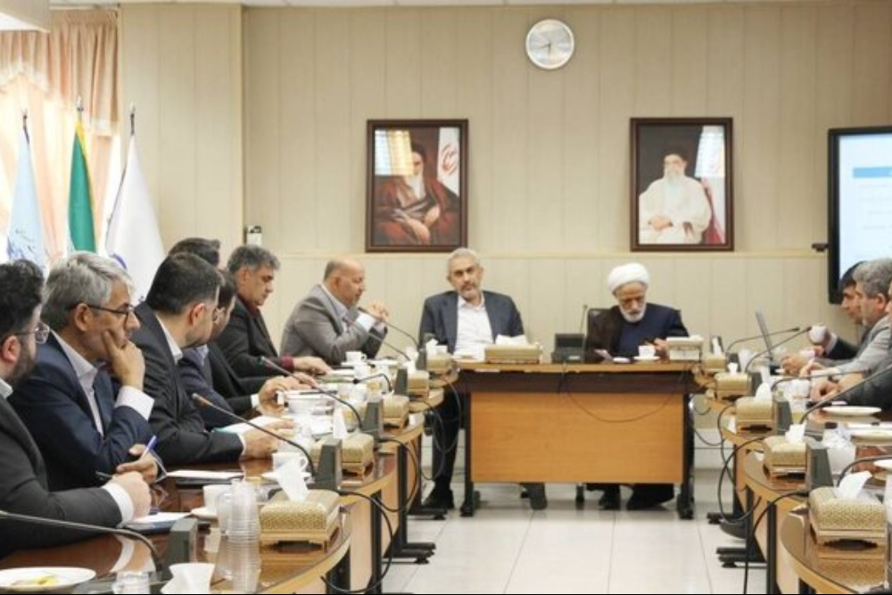 تاکید معاون رئیس‌جمهور بر ایجاد راه‌‍‌حل پایدار میان توسعه مناطق آزاد و حفظ منافع عمومی