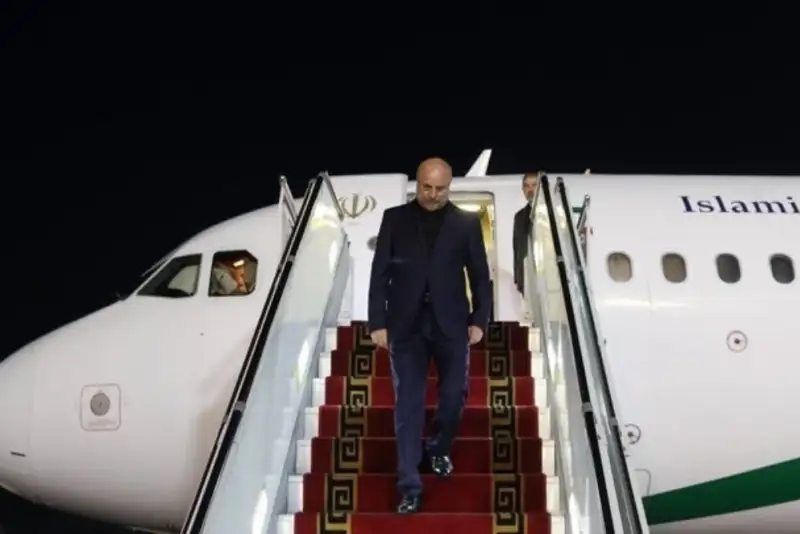 رئیس مجلس و هیأت پارلمانی همراه وارد تهران شدند
