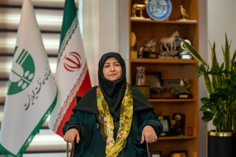 انصاری: توسعه بدون محیط زیست پایدار نیست