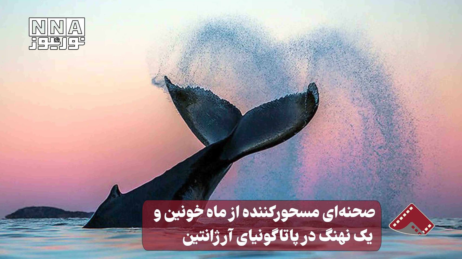 نورنما | صحنه ای مسحور کننده از ماه خونین و یک نهنگ در پاتاگونیای آرژانتین