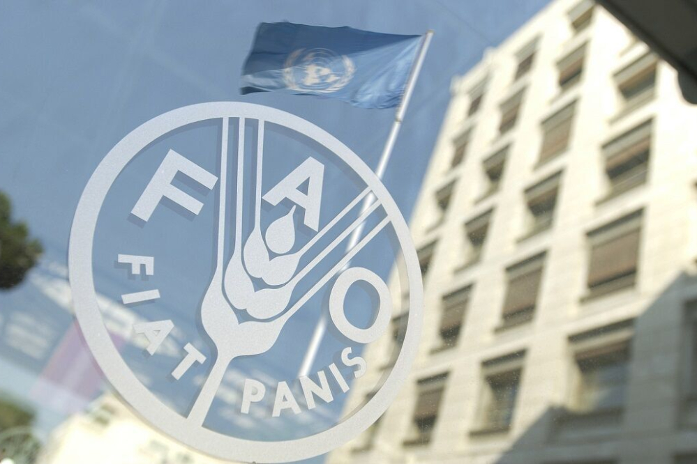 شوک قیمتی در بازار جهانی؛ گرانی مواد غذایی به اوج 3 ساله رسید