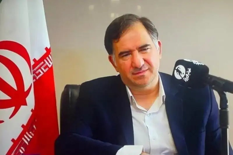 حسن‌زاده: تخلفات دیدار تراکتور و گل‌گهر بدون اغماض بررسی می‌شود