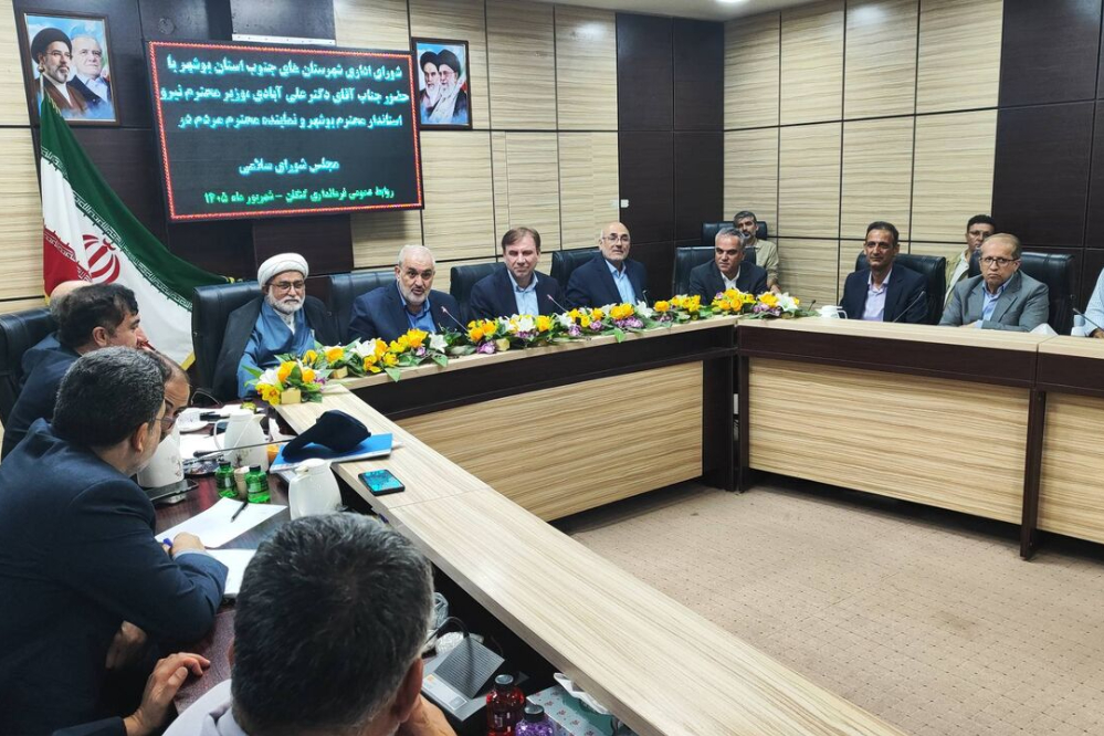 علی‌آبادی: برق پایدار جنوب در اولویت وزارت نیرو قرار گرفت