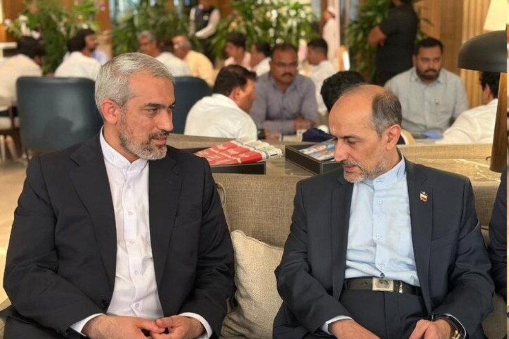 مدنی‌زاده به هند رسید؛ رایزنی اقتصادی ایران در بریکس