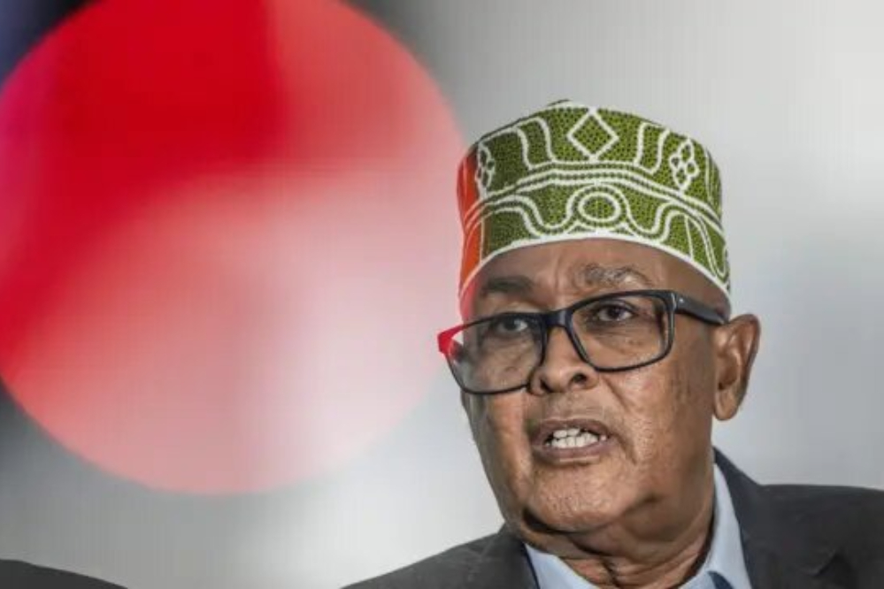 اعلام موجودیت سومالی‌لند با آمادگی اعزام 2 هزار نیرو به غزه!