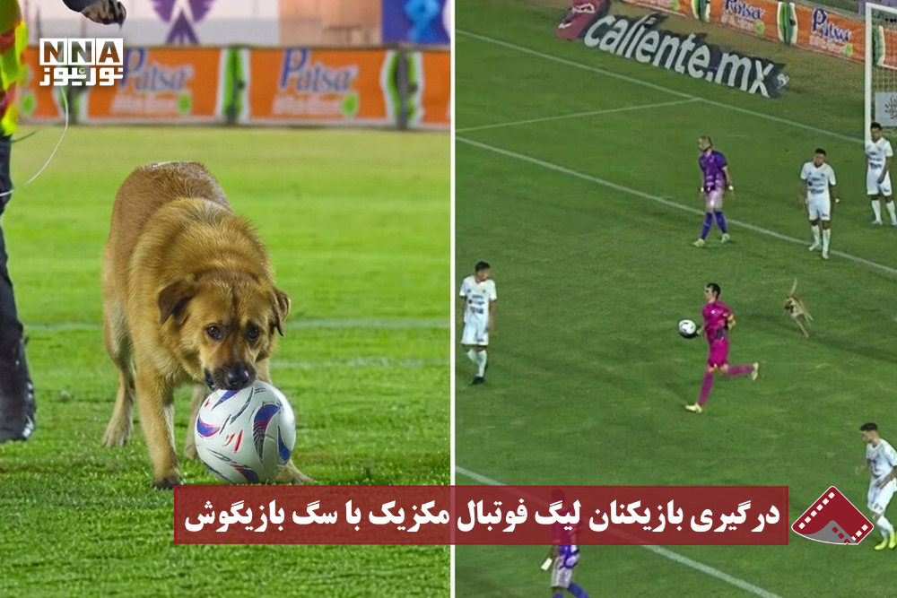 نورنما | درگیری بازیکنان لیگ فوتبال مکزیک با سگ بازیگوش