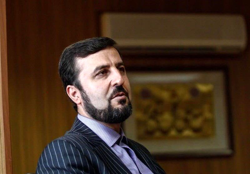 انتقاد نماینده دائم کشورمان در  وین از رویکردهای دوگانه آمریکا و انگلیس