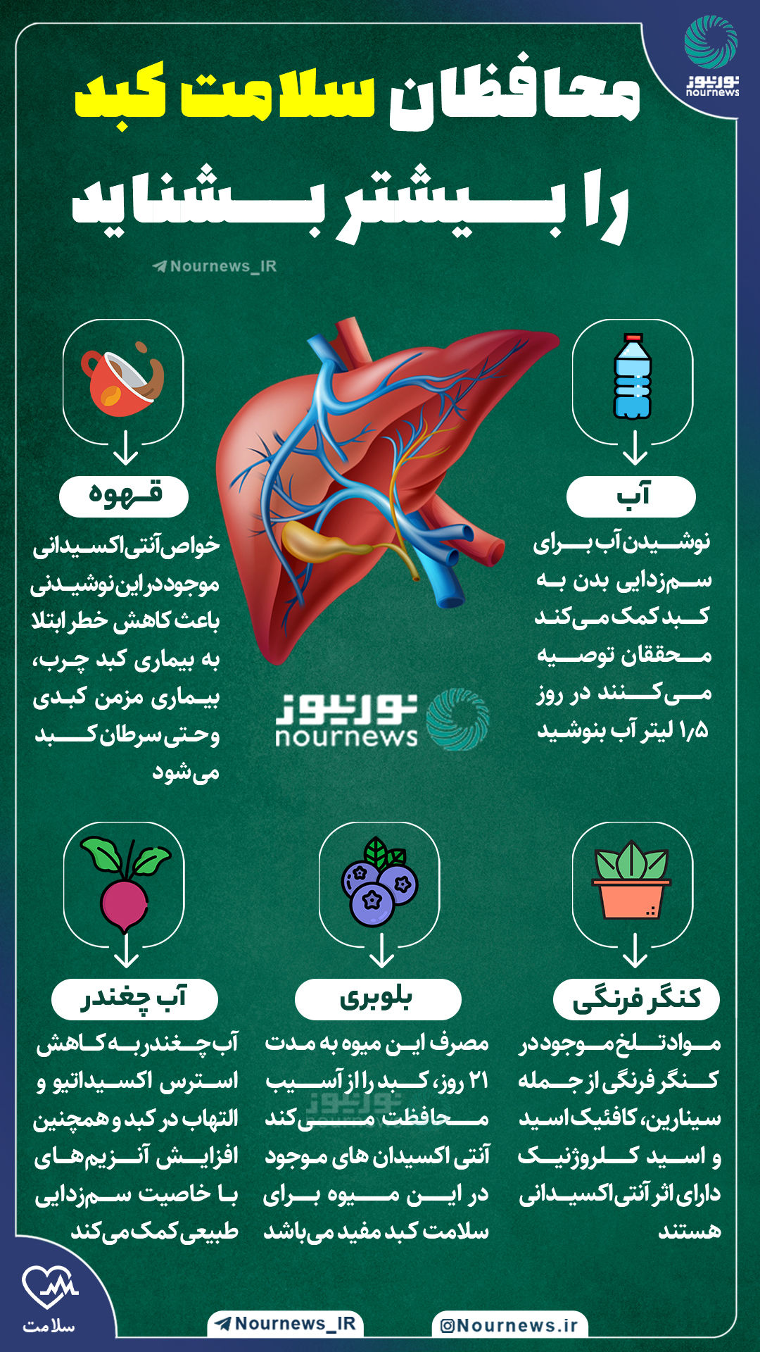 اینفوگرافی: محافظان سلامت کبد